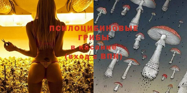 бошки Верхнеуральск