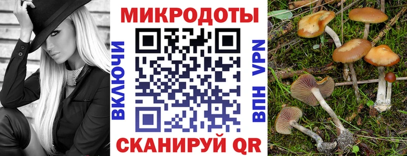 Псилоцибиновые грибы MAGIC MUSHROOMS hydra Лакинск